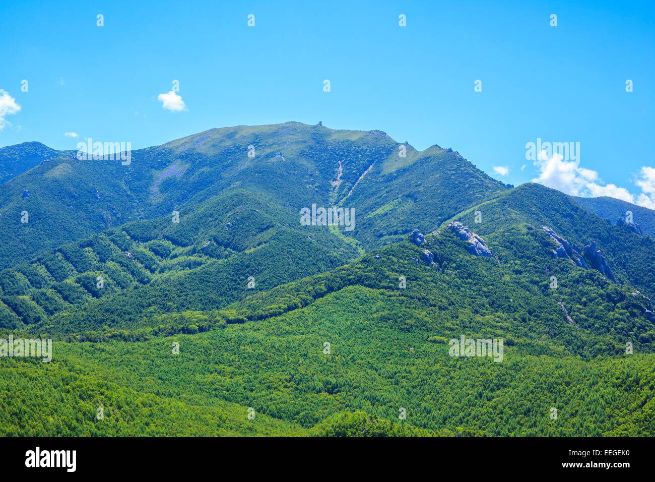 Mt. Kinpou visto da Mt. Mizugaki, Montagna giapponese Foto Stock