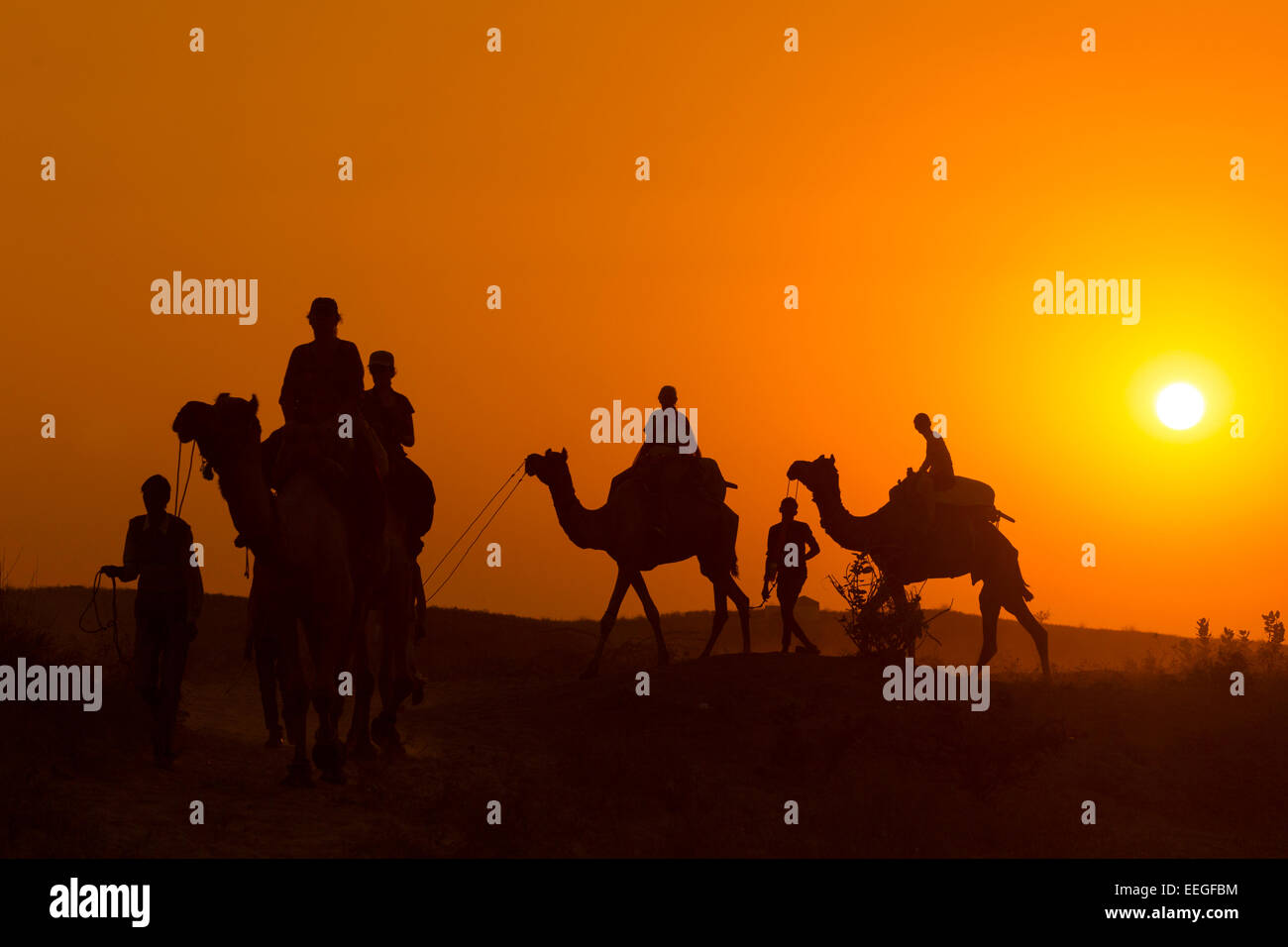India Rajasthan, Pushkar, turisti tenendo desert sunset ride sui cammelli Foto Stock