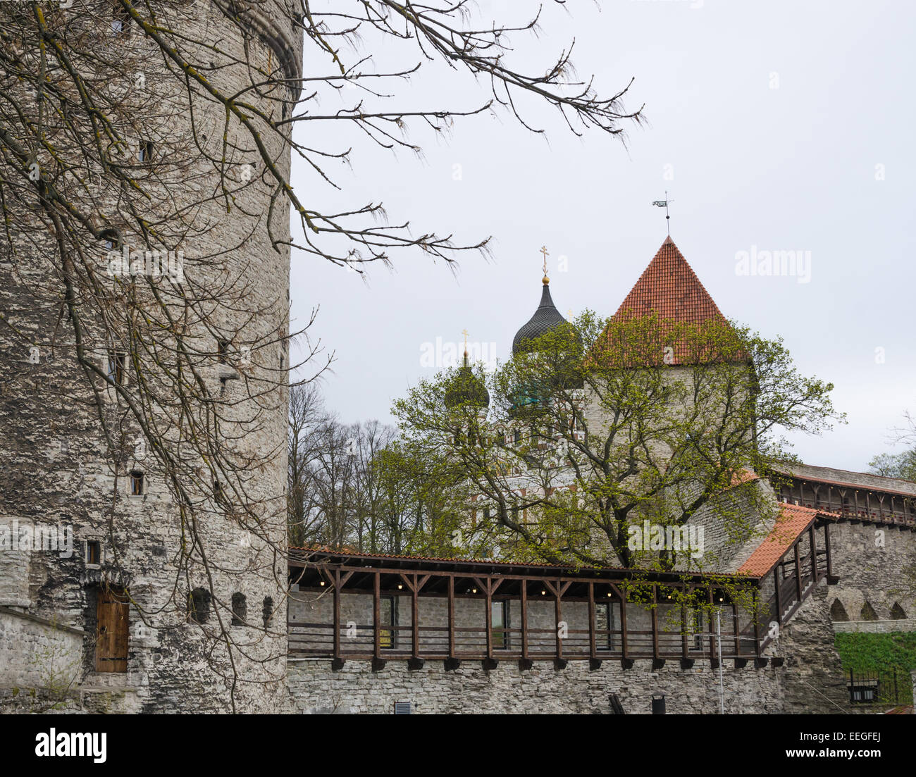 Vista di Tallinn giornata di primavera Foto Stock