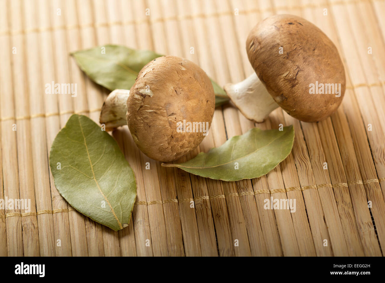 Foglie di alloro e i funghi sul tappetino di bambù Foto Stock