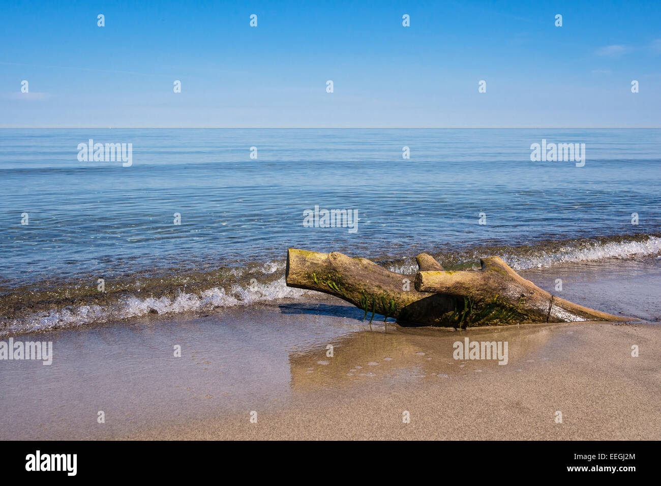 Sulla riva del Mar Baltico Foto Stock