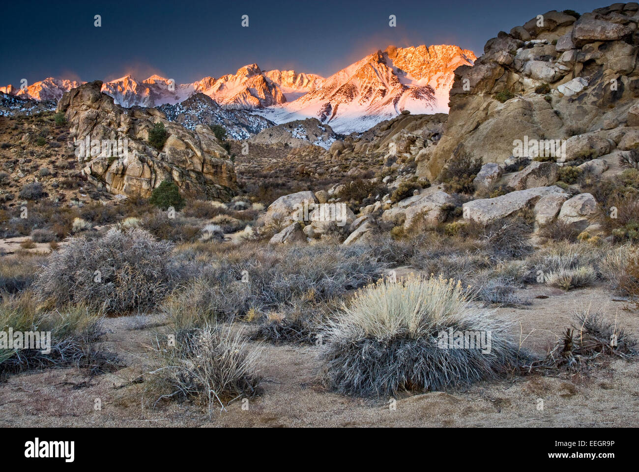 Mt Humphreys ed il bacino Mtn in Eastern Sierra Nevada a sunrise oltre il latticello zona di campagna vicino al Vescovo, CALIFORNIA, STATI UNITI D'AMERICA Foto Stock