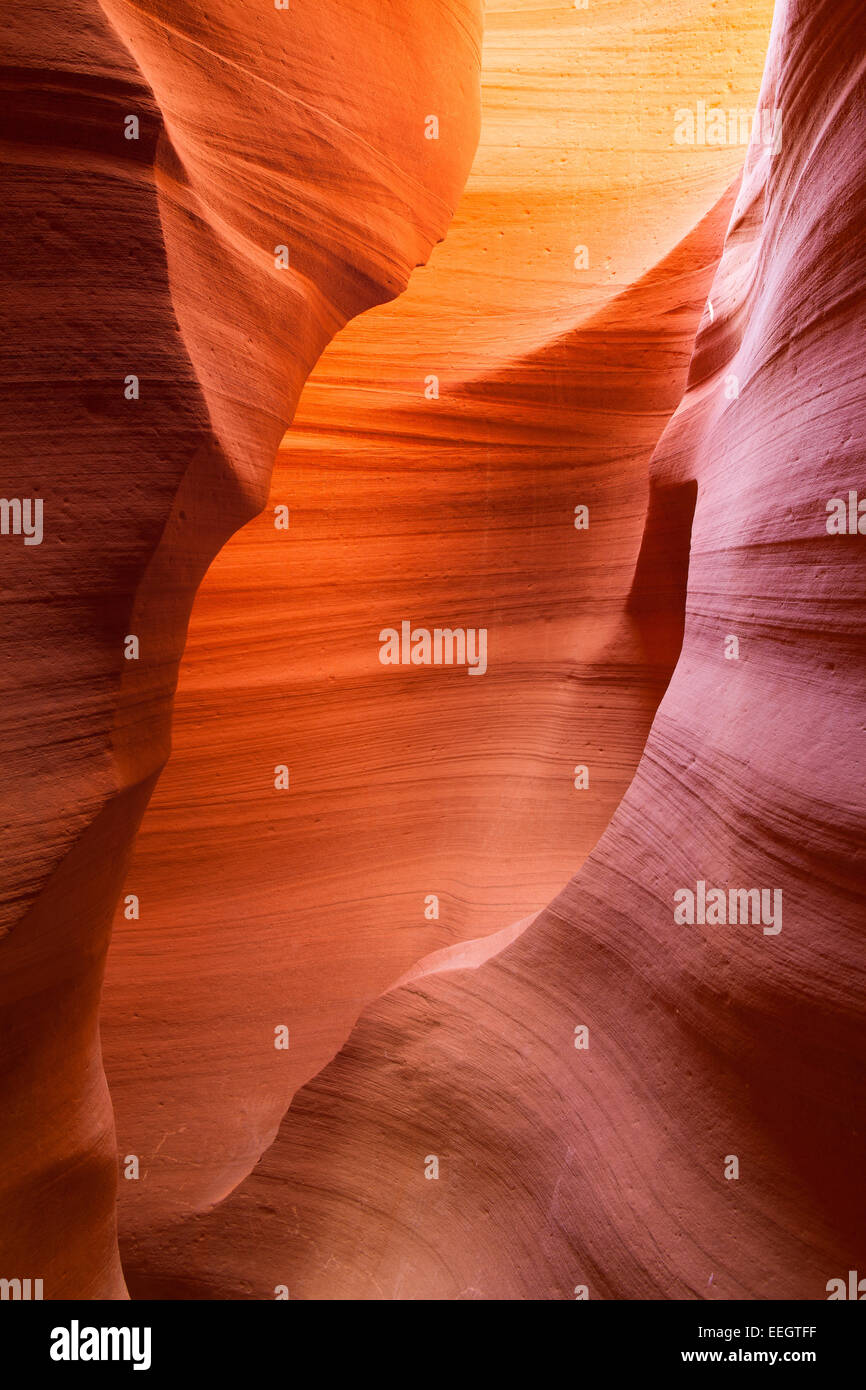 Onde di arenaria e colori all'interno iconico Antelope Canyon, Arizona Foto Stock