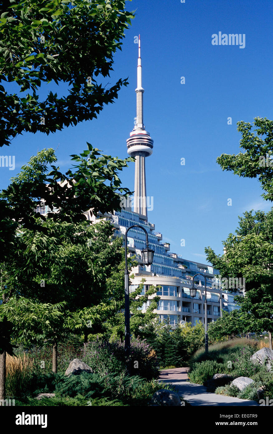 La CN Tower e Harbourfront condomini, Toronto, Ontario, Canada Foto Stock
