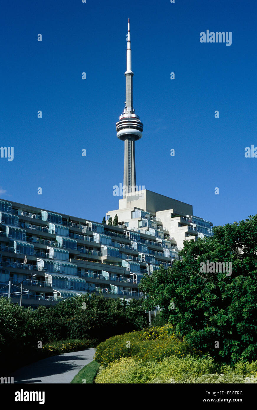 La CN Tower e Harbourfront condomini, Toronto, Ontario, Canada Foto Stock