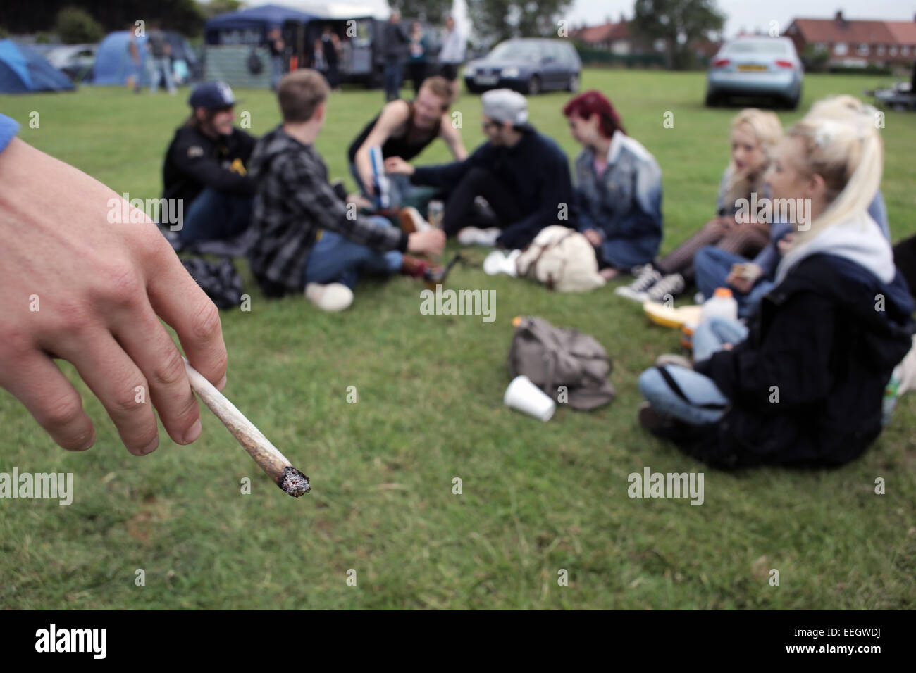 Un'associazione di cannabis spazzata in un festival di legalizzazione professionale a Redcar, Teesside, Regno Unito. 20/08/2014. Fotografia: stuart Boul Foto Stock
