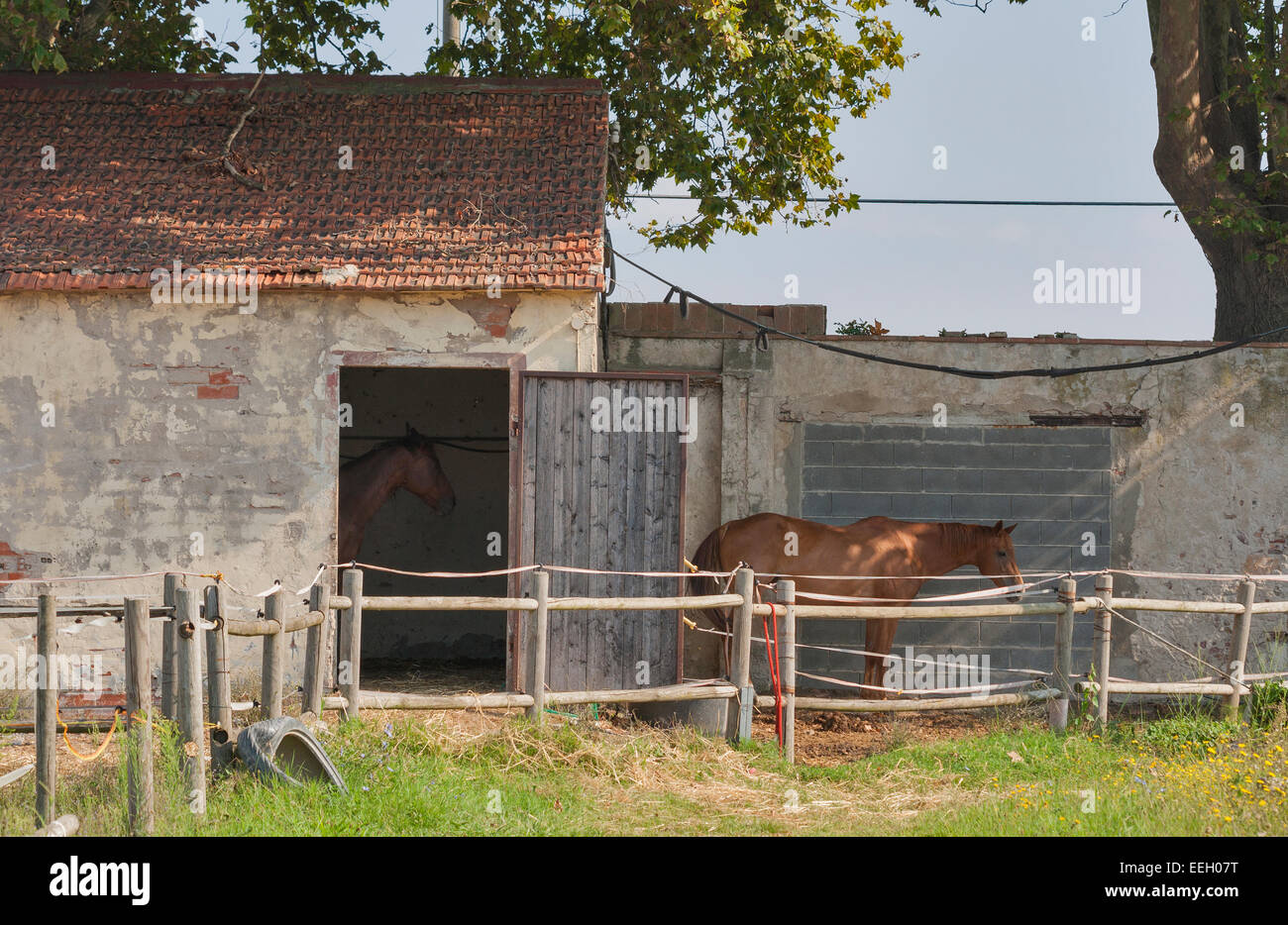Il paddock e vecchia stalla per i cavalli in Toscana, Italia Foto Stock