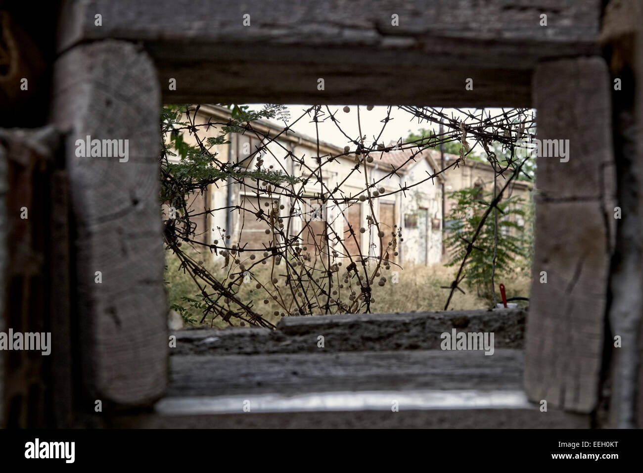 Parete sandbagged e punti di cottura attraverso no mans land e area riservata dell'ONU zona di buffer nel verde della linea che separa il nord Foto Stock