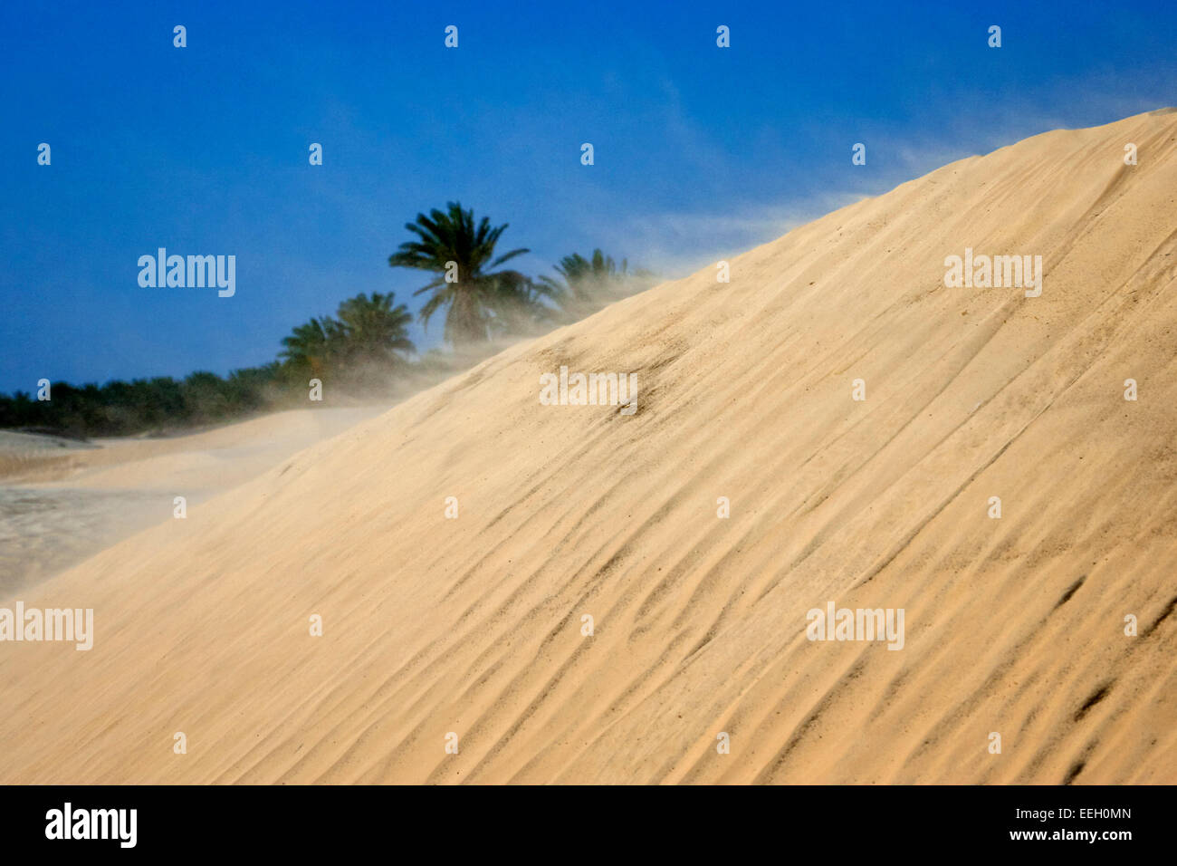 Il vento soffia sabbia dorata oltre il bordo di una duna di sabbia contro il cielo blu nel deserto del Sahara Foto Stock