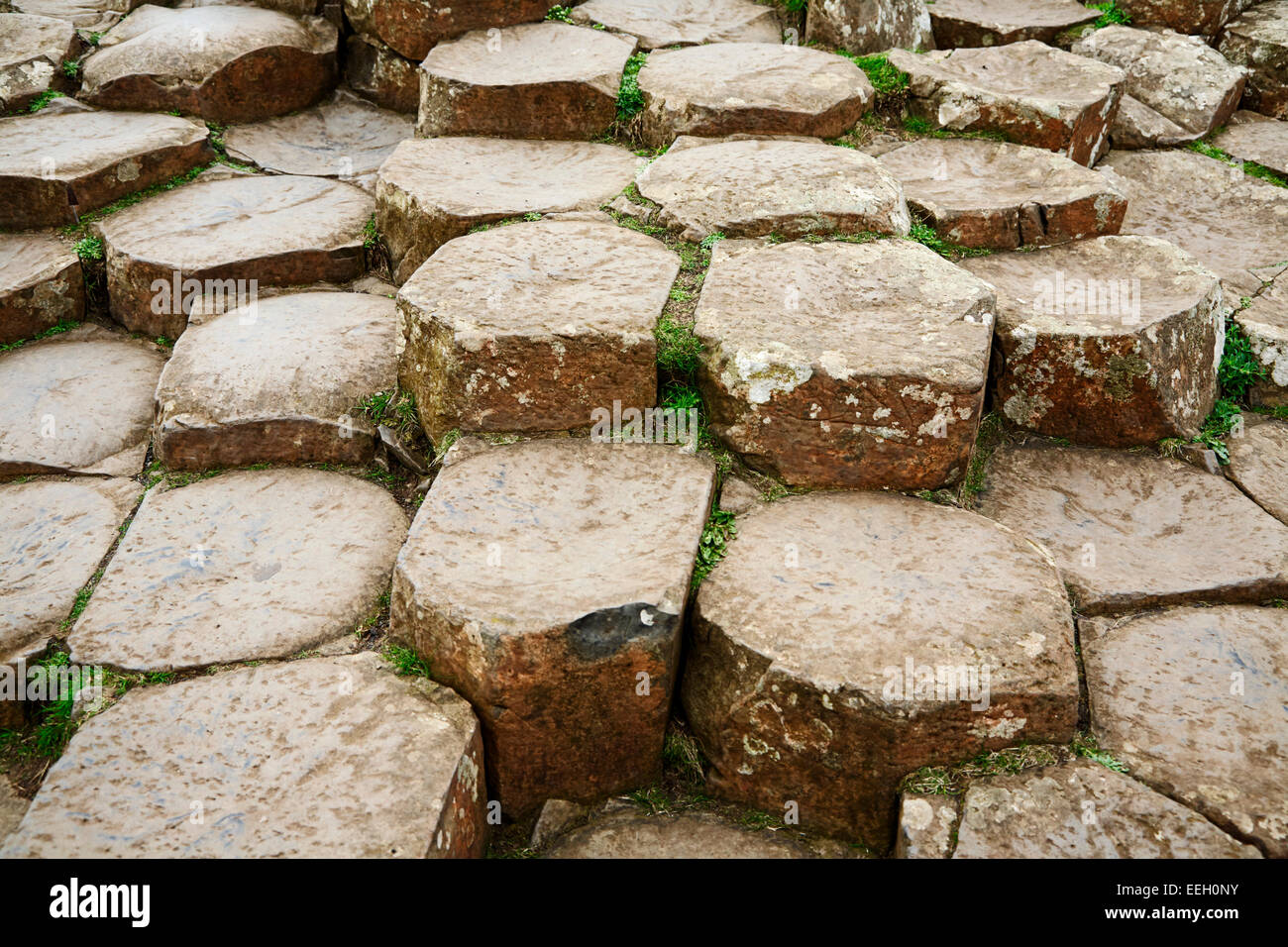 Basalto esagonale formazioni di pietra sul Giants Causeway north antrim coast Irlanda del Nord Foto Stock