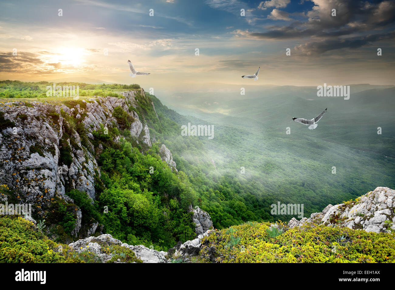 Gli uccelli nel plateau a NUVOLOSO TRAMONTO Foto Stock