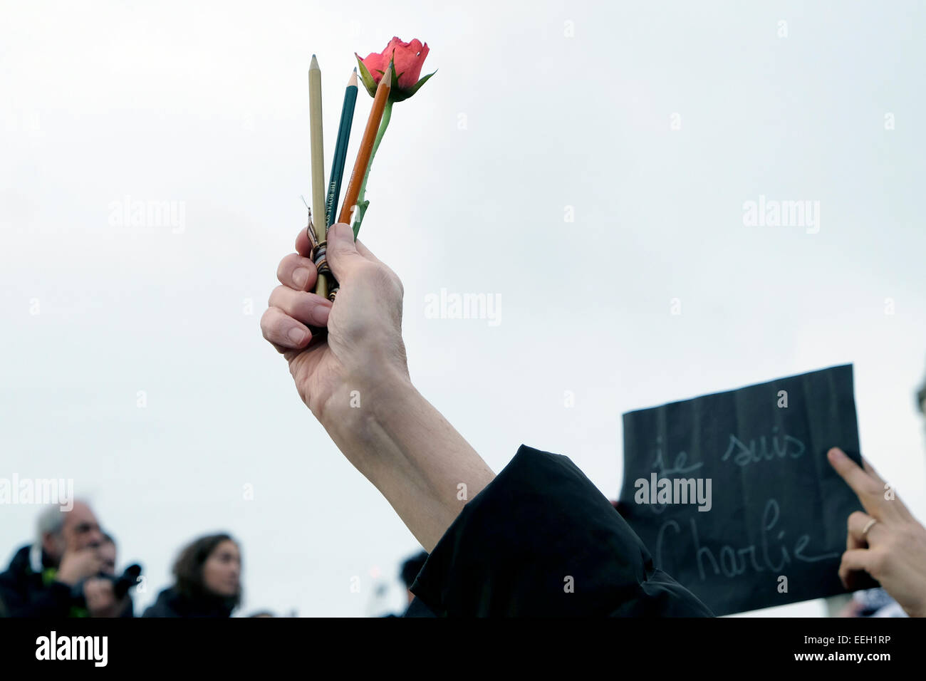 Una mano trattiene un fiore e matite Foto Stock