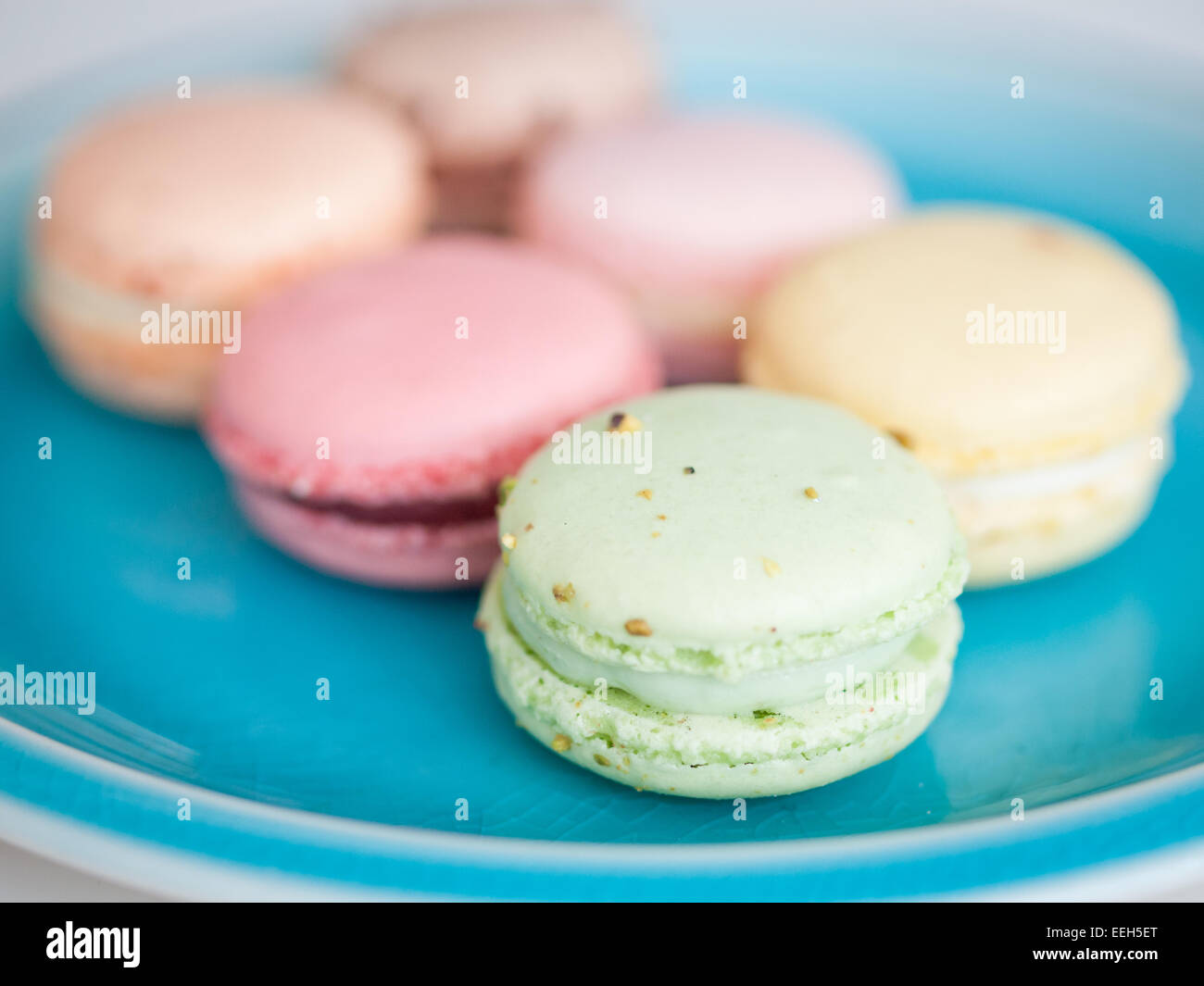 Una piastra di colorati macarons francese dalla duchessa Bake Shop in Edmonton, Alberta, Canada. Foto Stock