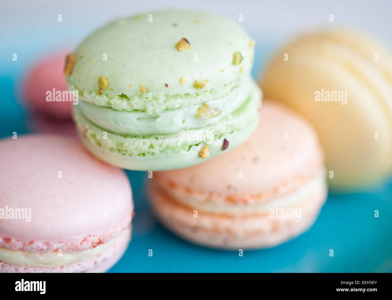 Una piastra di colorati macarons francese dalla duchessa Bake Shop in Edmonton, Alberta, Canada. Foto Stock