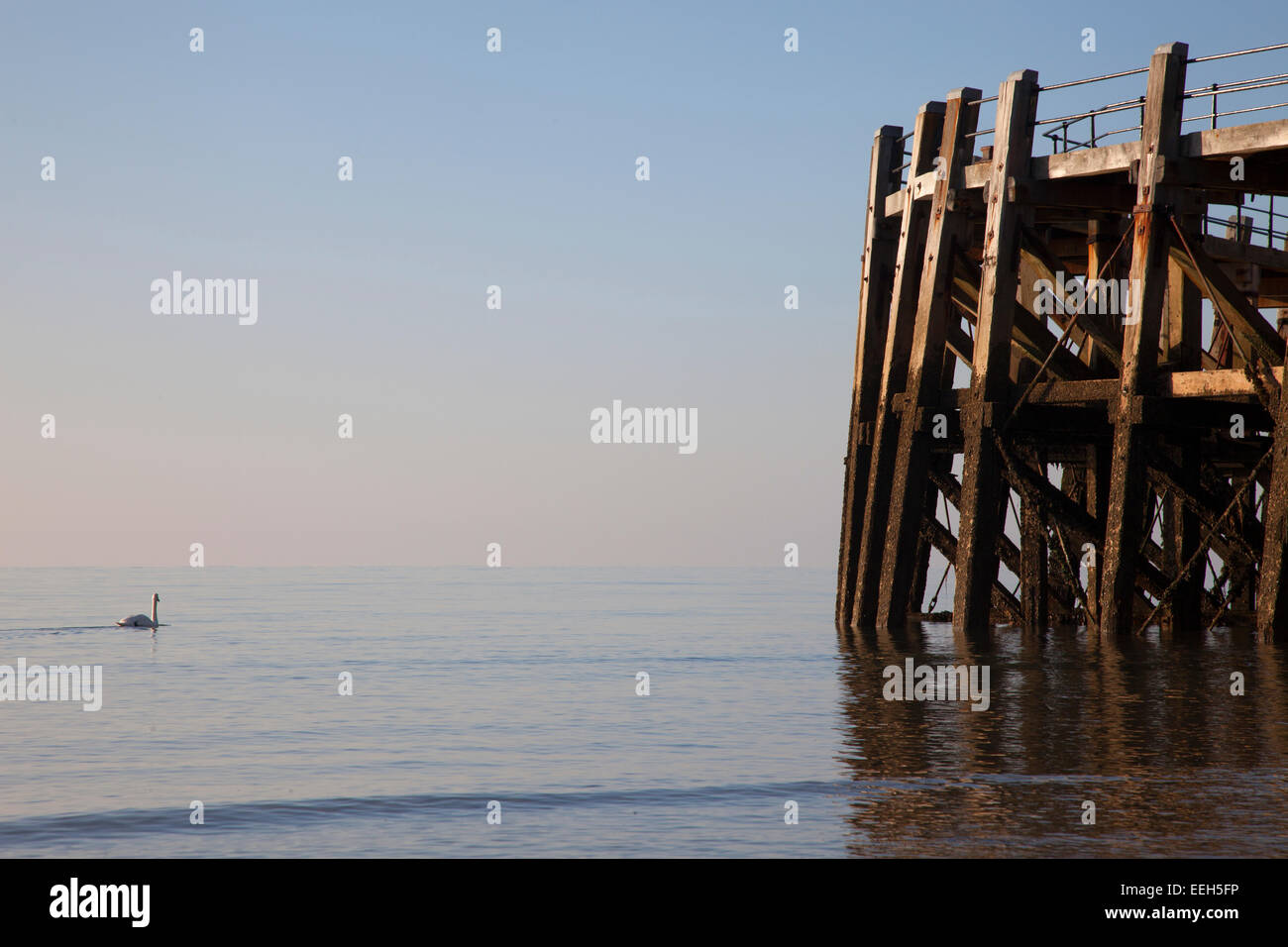 Dettaglio di Worthing pier head con cigno nuotare sul mare calmo. Foto Stock