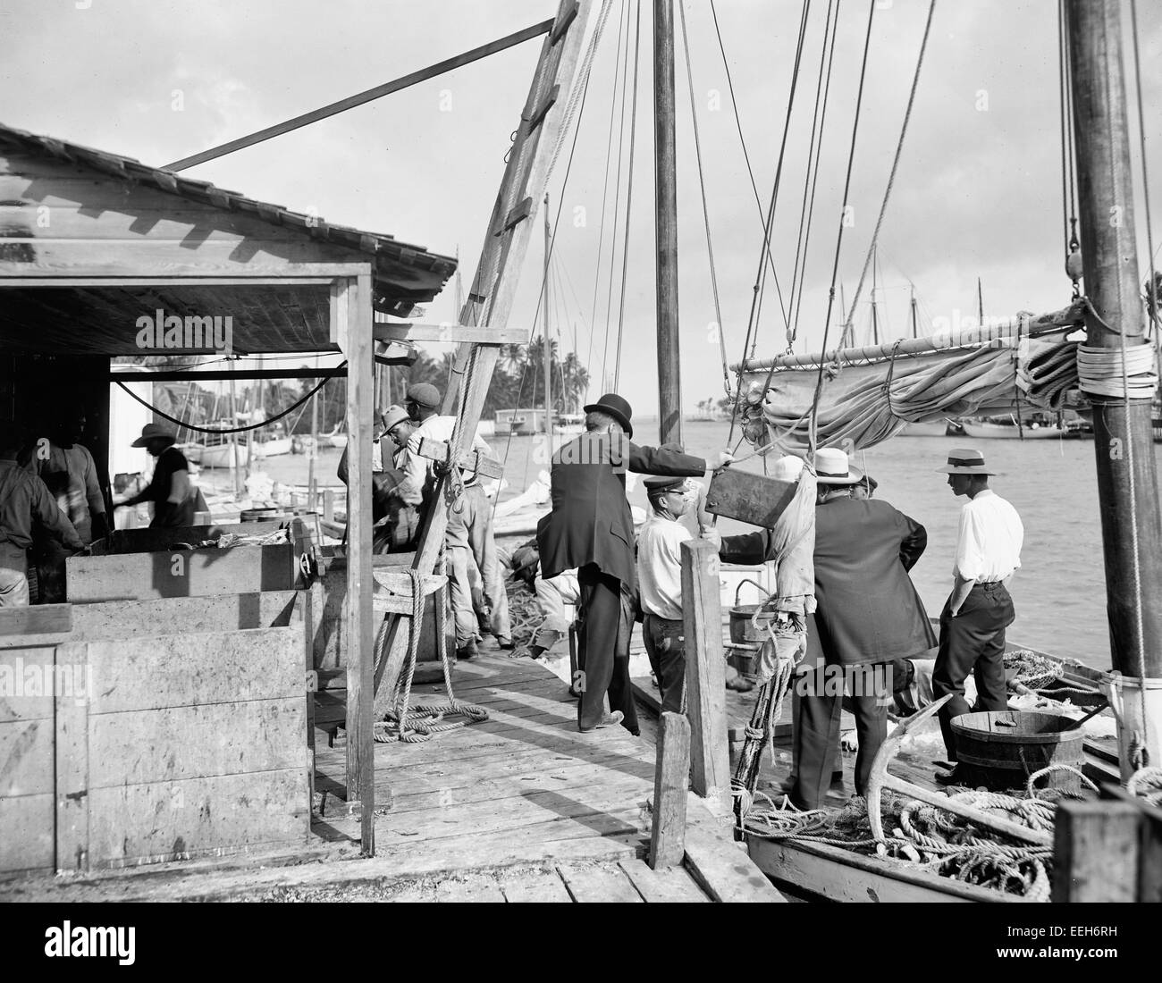 Miami, Florida, pesce docks lungo il fiume Miami, circa 1910 Foto Stock