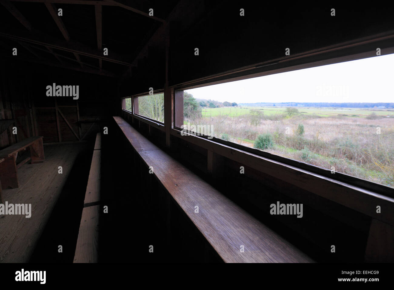 All'interno di un bird watching nascondi (Washington Nascondi) a Holkham, Norfolk, Regno Unito. Foto Stock