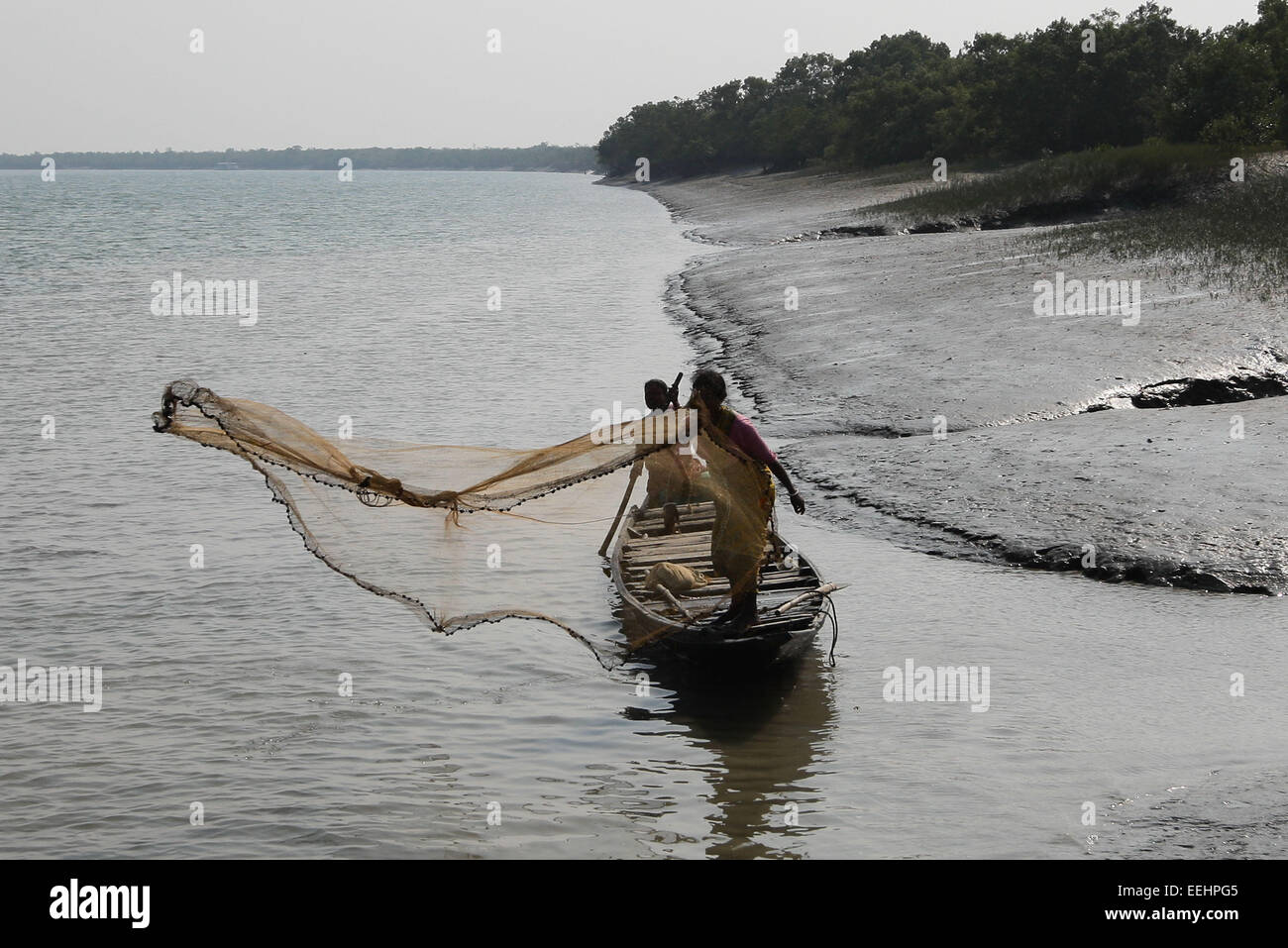 (150119) -- CALCUTTA, Gennaio 19, 2015 (Xinhua) -- un abitante di un villaggio getta la rete da pesca presso l area di Sunderbans del delta del Gange nel Bengala occidentale, India, Gennaio 17, 2015. Il delta del Gange è la delta di fiume nel Sud Asia regione del Bengala, consistente in Bangladesh e lo stato del Bengala Occidentale, India. È il più grande del mondo di delta. Come patrimonio mondiale dell'UNESCO, le Sunderbans area dell India shelters un sacco di foreste di mangrovie e animali. La popolazione locale vive sulla pesca, l'agricoltura e utilizzare i traghetti per i pendolari. Molti villaggi utilizzare l'energia solare a causa di mancanza della normale alimentazione di energia elettrica. (Xinhua/Zheng Huans Foto Stock