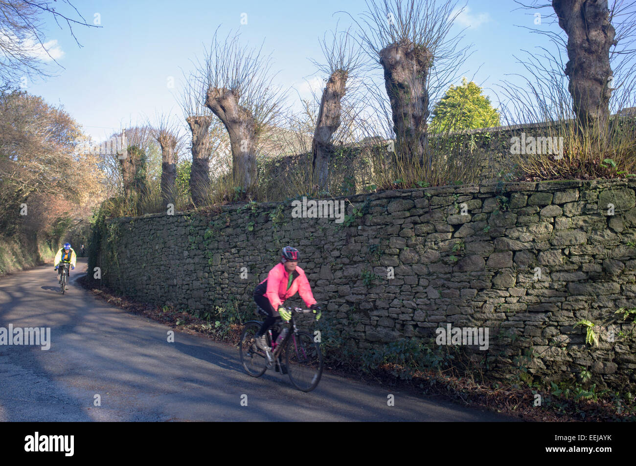 Due ciclisti su una corsia in Cornwall, Regno Unito Foto Stock