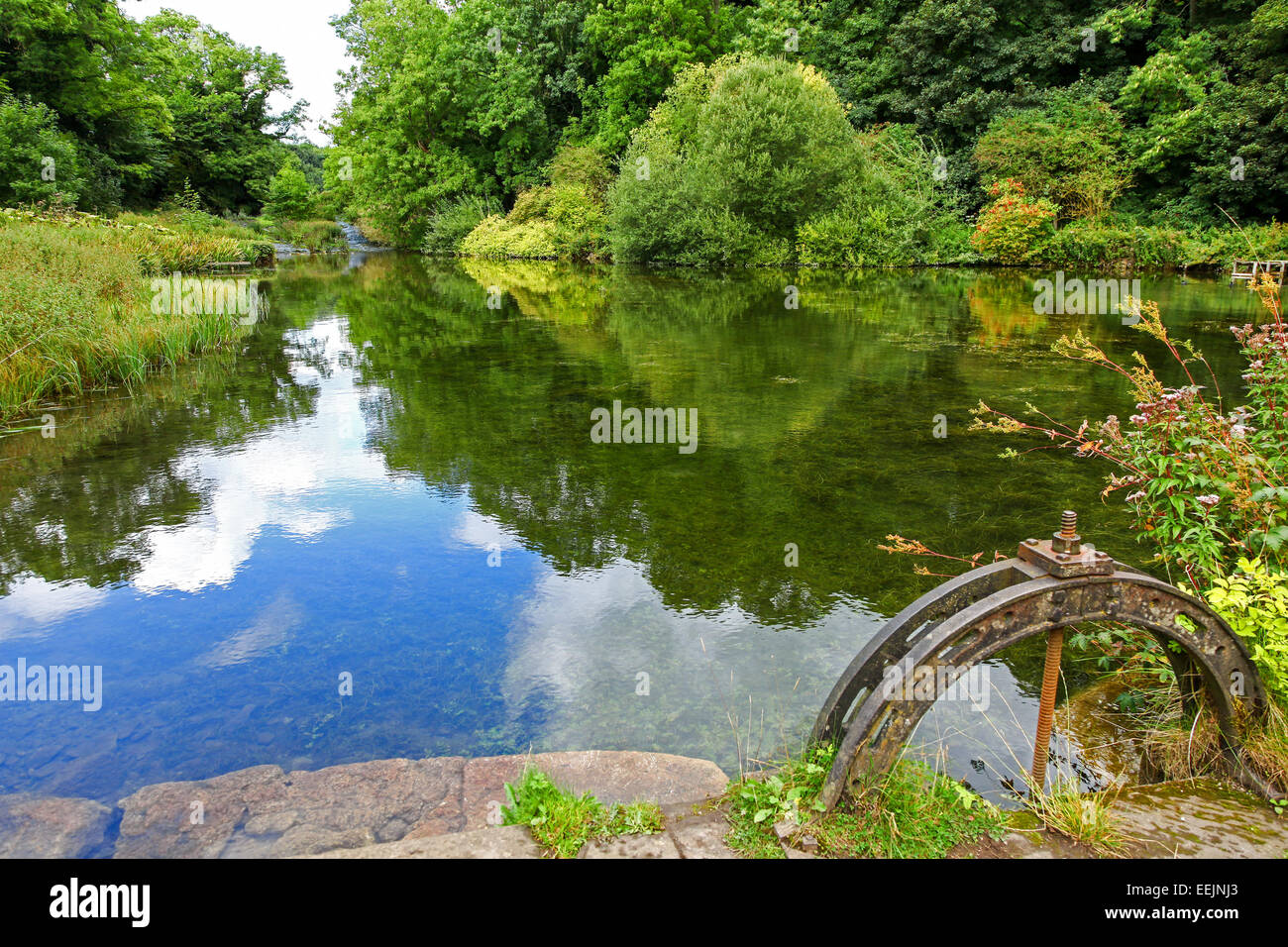 Pool di trote e saracinesca fiume Bradford, Bradford Dale, Youlgreave o Youlgrave Derbyshire Peak District Inghilterra REGNO UNITO Foto Stock