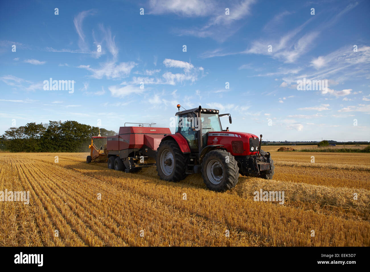 Il trattore e la pressa per balle quadrangolari Grande imballano paglia di orzo in una serata estiva in Norfolk, Regno Unito Foto Stock