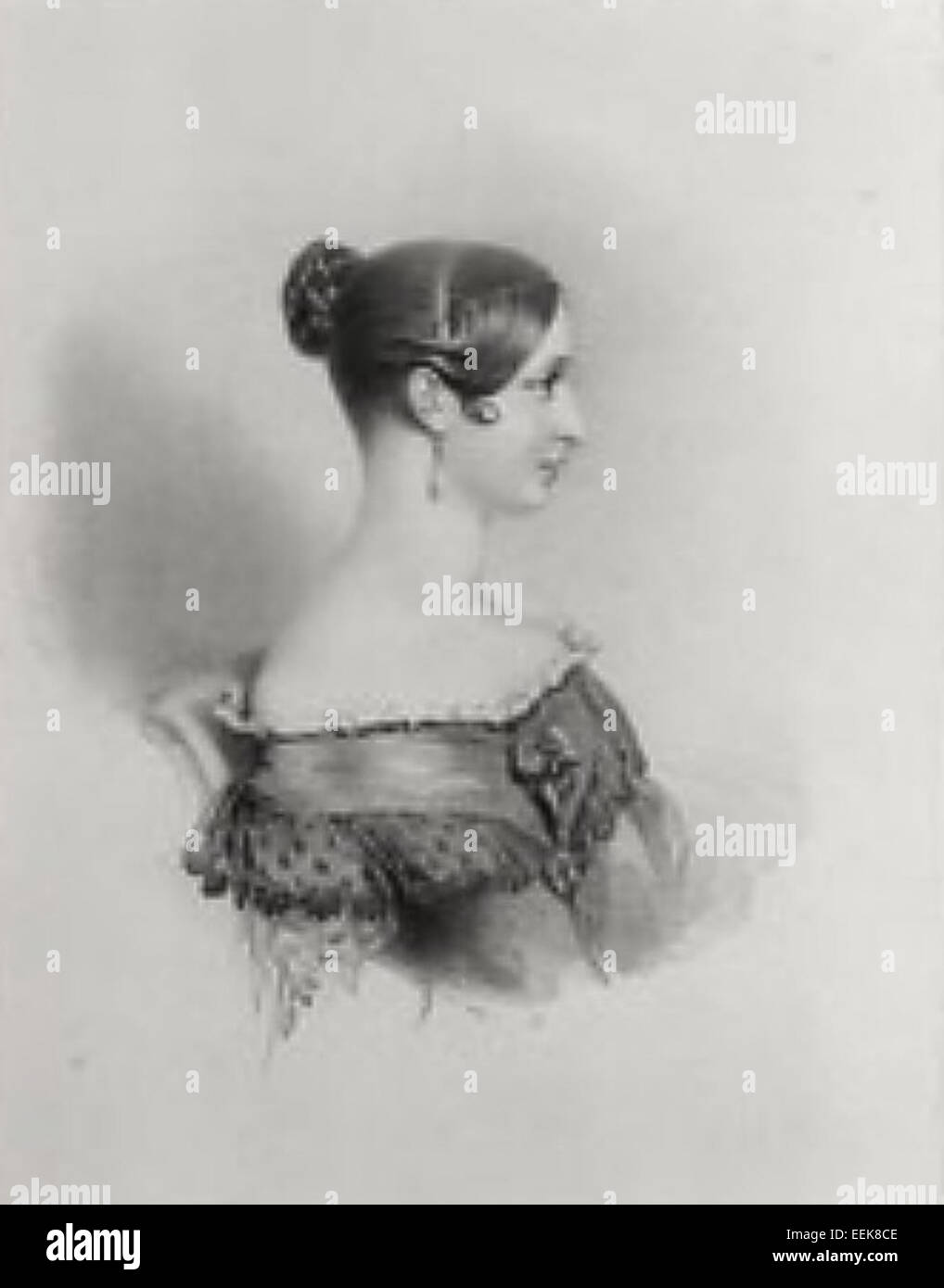 Richard James Lane (1800–1872) è stato un incisore e litografo inglese, riconosciuto per le sue illustrazioni botaniche e zoologiche in varie pubblicazioni scientifiche. Foto Stock