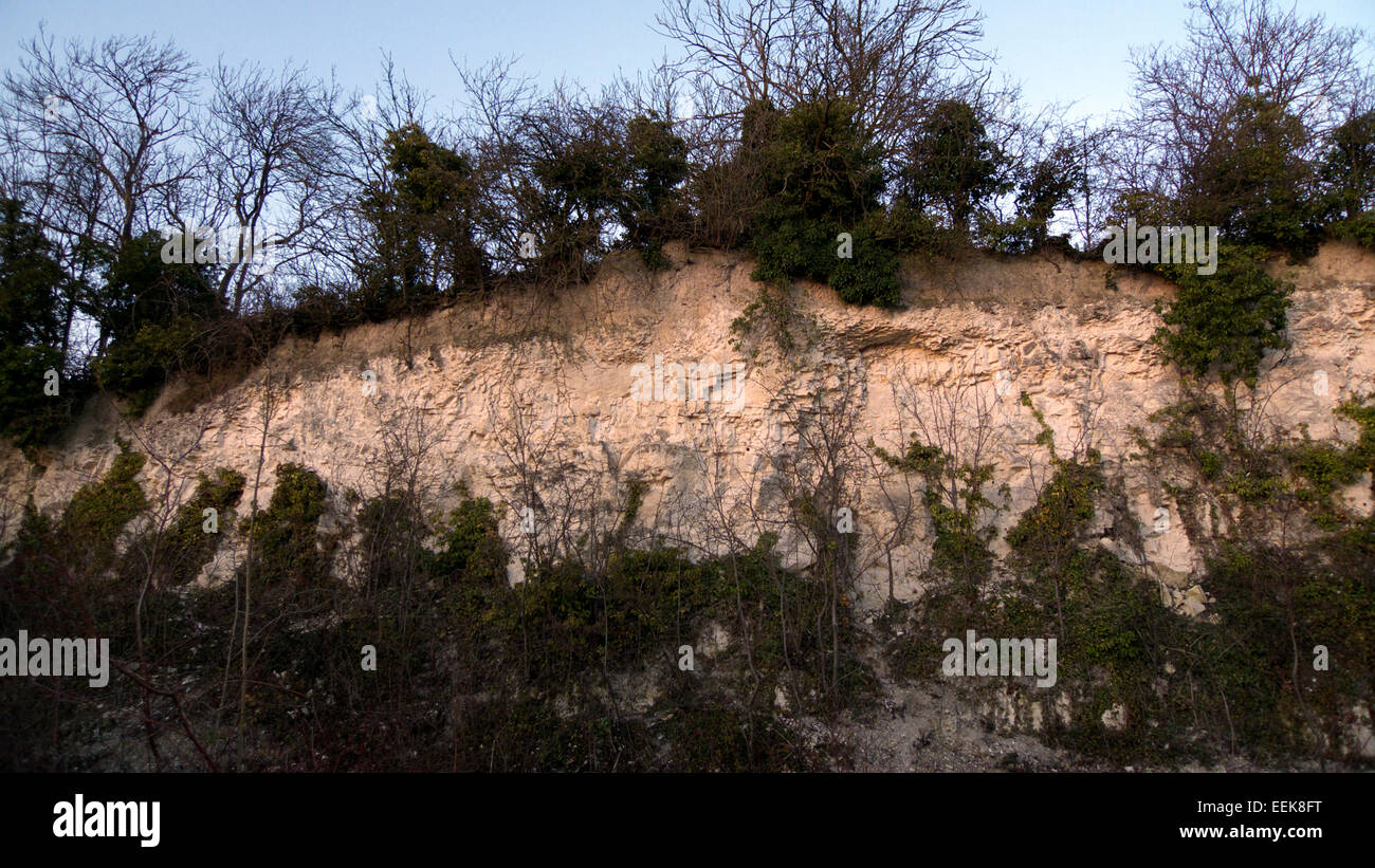 Faccia del nord di East Pit, con fornace da calce vicino al di sopra, Cherry Hinton Chalk Box, Cambridge, Regno Unito Foto Stock