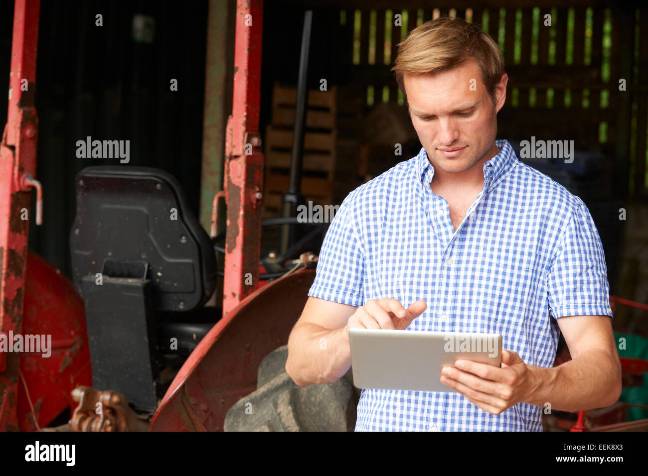 L'agricoltore che detiene digitale compressa in piedi nel fienile con vecchio trattore Foto Stock