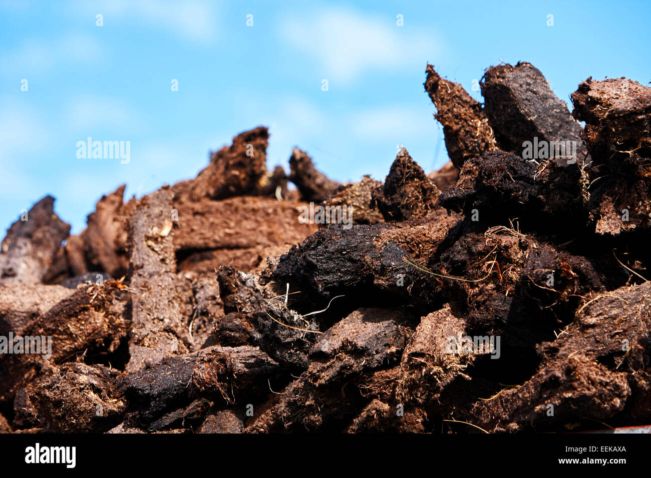 Pila irlandese di tappeto erboso di torba combustibile raccolto per uso domestico Foto Stock