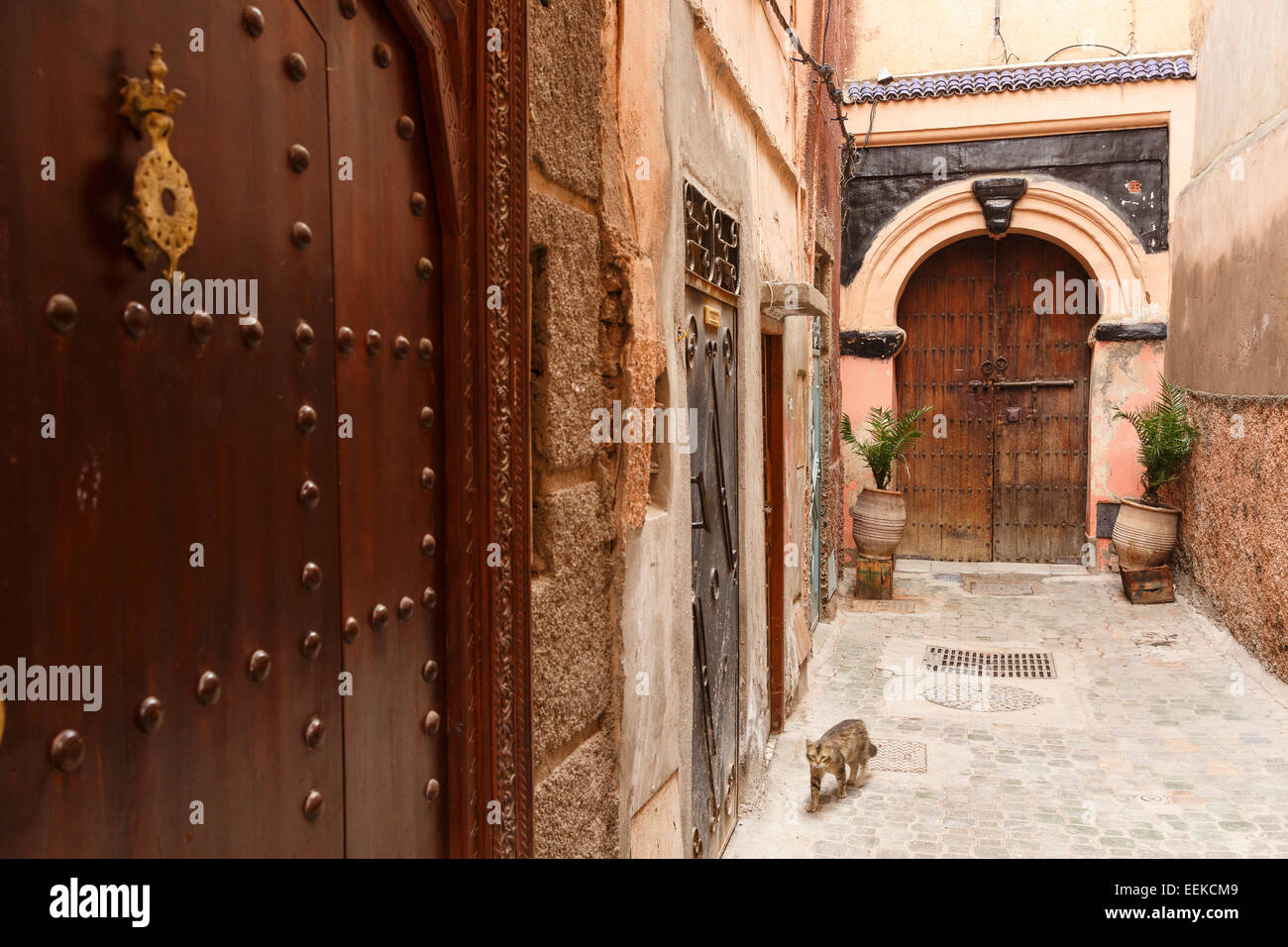 Dettaglio delle porte. Marrakech. Il Marocco. Il Nord Africa. Africa Foto Stock