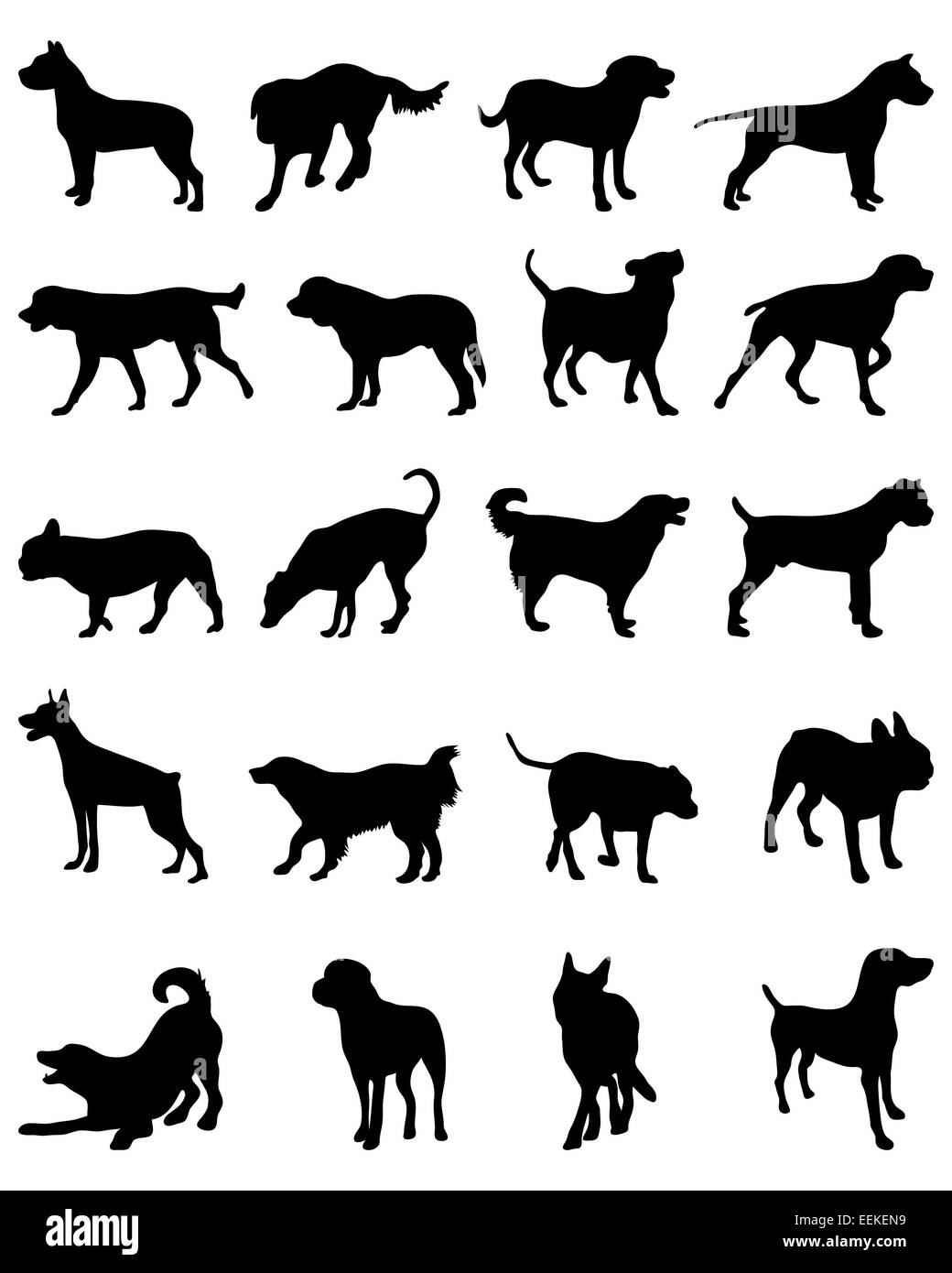 Silhouette nera di razze diverse di cani, vettore Foto Stock