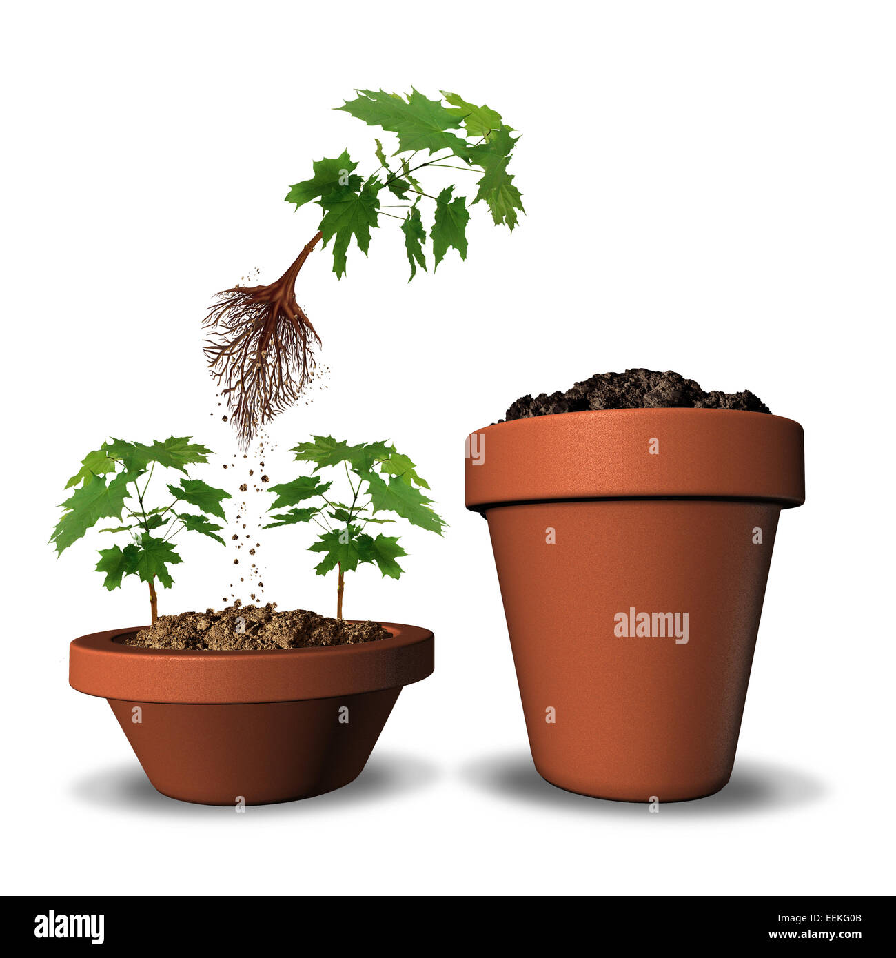 Concetto di ambizione e di promozione della carriera da un sovraffollato mercato come un alberello di volo tree salta fuori di un vaso di fiori per una grande Foto Stock