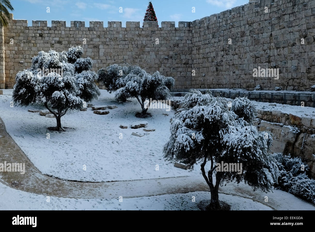 Alberi coperti di neve nella parte anteriore delle vecchie mura della città di Gerusalemme Est Israele Foto Stock