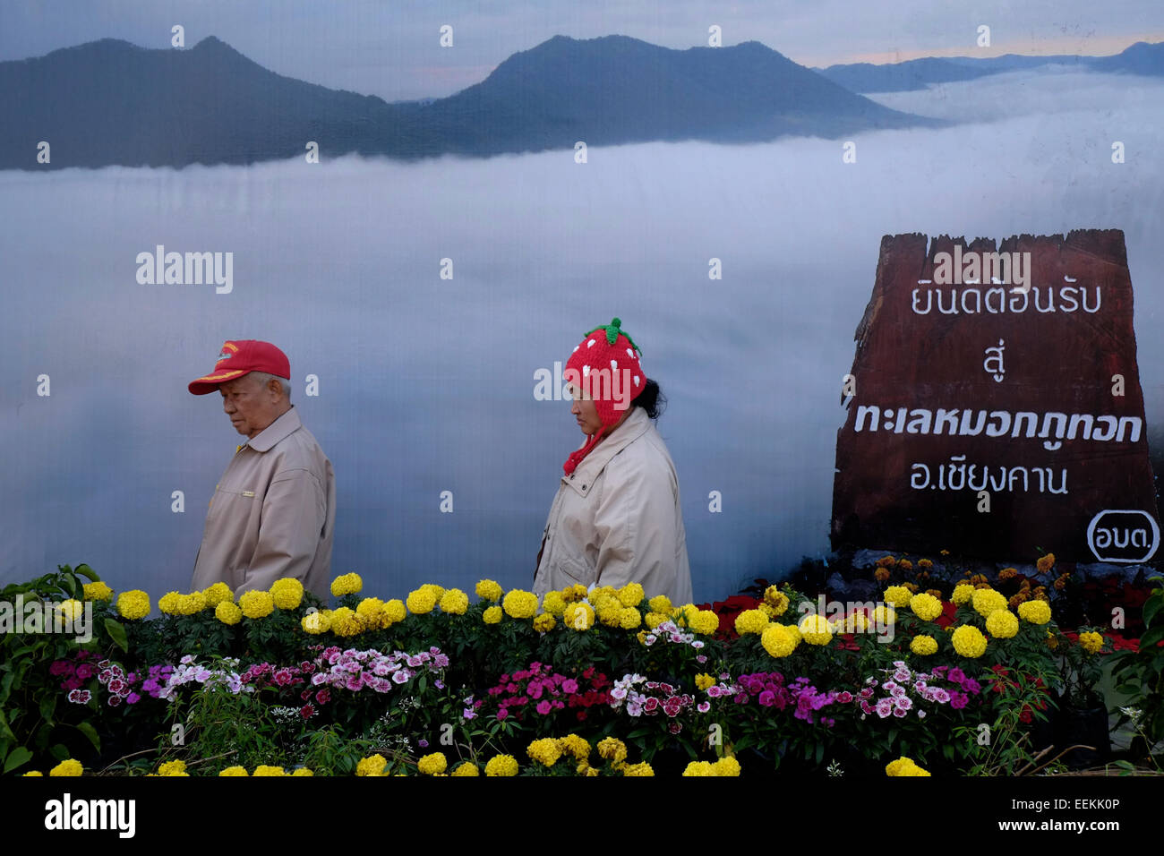 Local Thai i visitatori di fronte a grandi poster raffigurante il mare di nebbia nella parte superiore dell'unità PHU Tok mountain si trova al centro di Bueng Kan provincia nell'estremità nord-orientale di Isan, a nord-est della Thailandia. Foto Stock