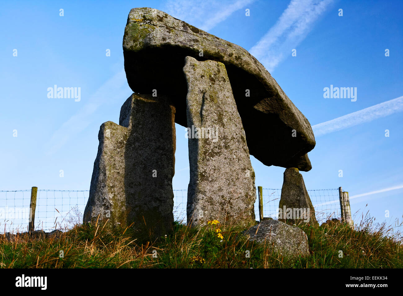 Legananny dolmen tomba del portale contea di Down Irlanda Foto Stock
