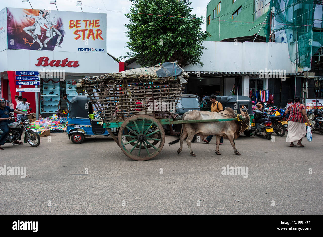 Una scena di strada a Negombo, Sri Lanka. Foto Stock