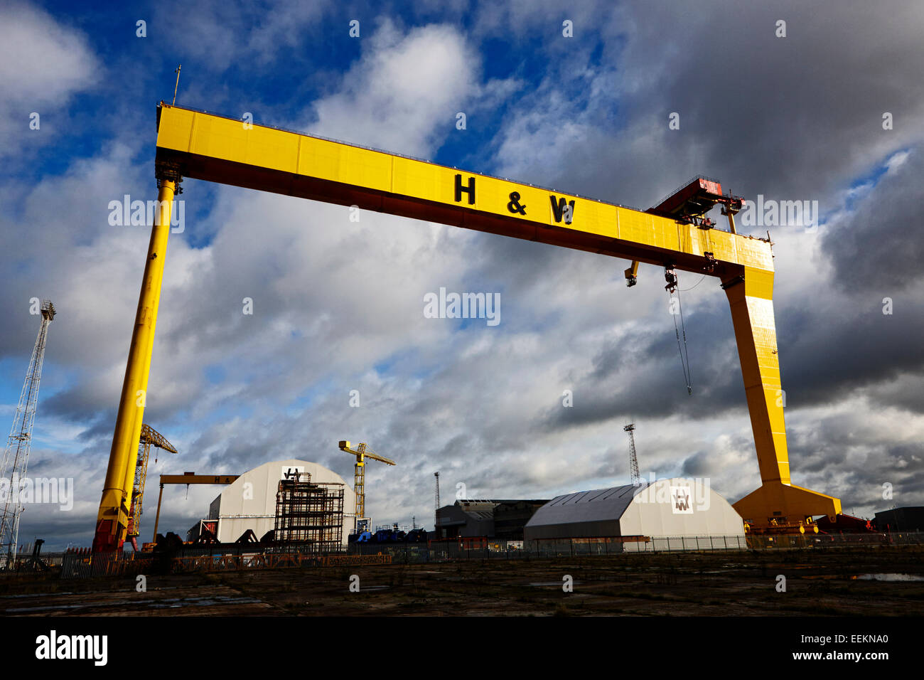 Harland e wolff landmark gru di cantiere a Belfast Irlanda del Nord Foto Stock