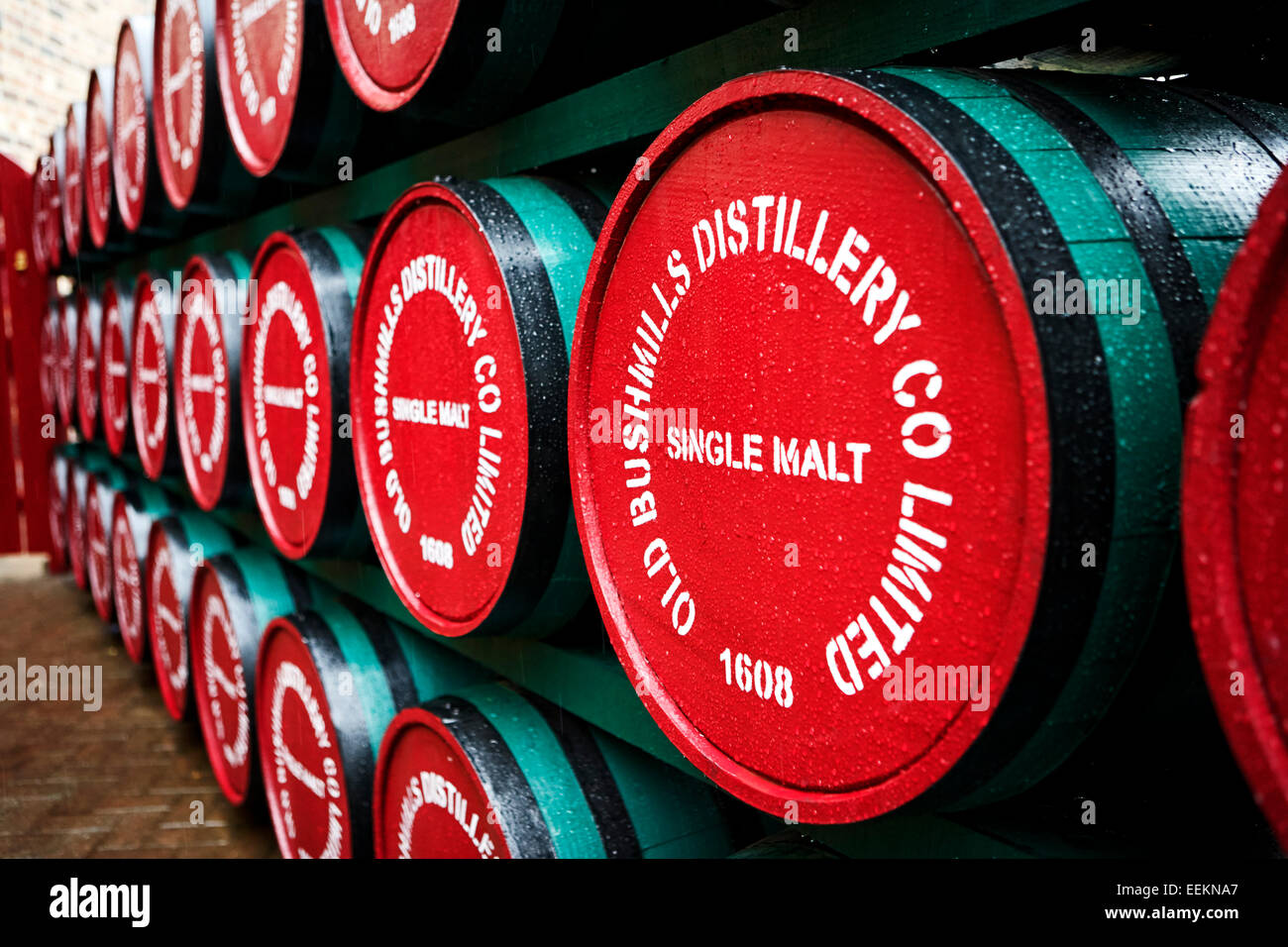Single malt whiskey barili di Old Bushmills Distillery Irlanda del Nord Foto Stock