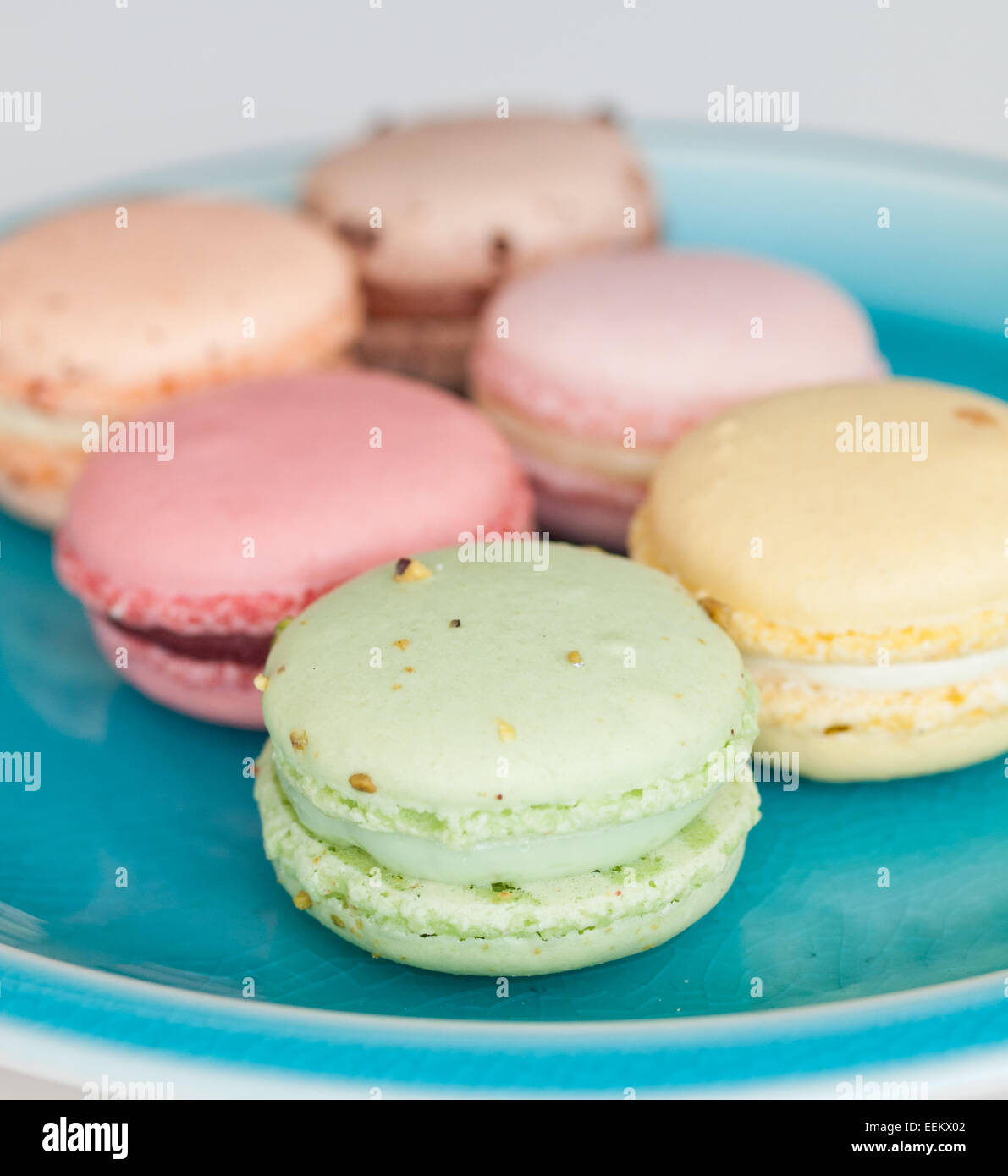 Una piastra di colorati macarons francese dalla duchessa Bake Shop in Edmonton, Alberta, Canada. Foto Stock