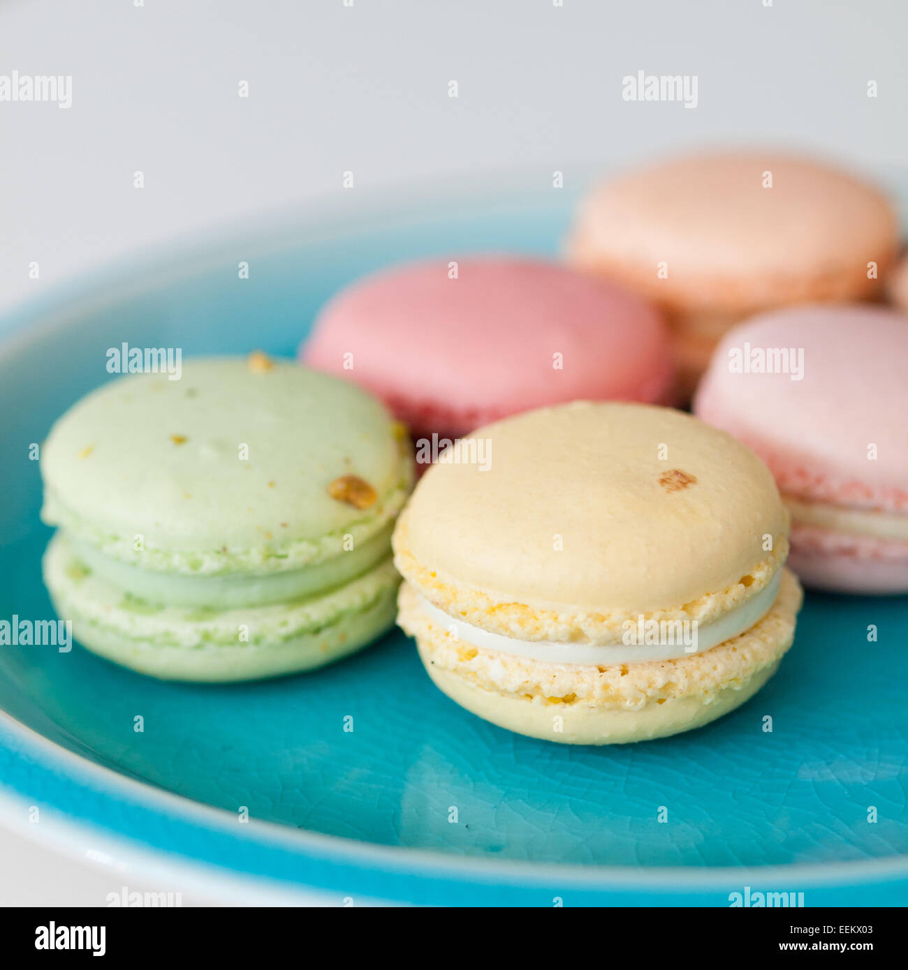 Una piastra di colorati macarons francese dalla duchessa Bake Shop in Edmonton, Alberta, Canada. Foto Stock