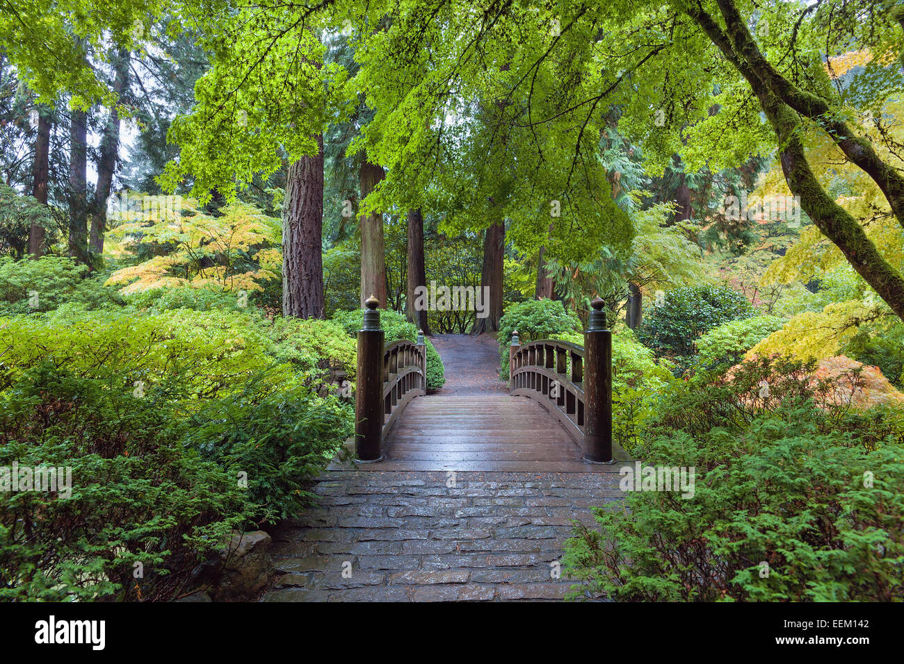 Luna il ponticello del giardino giapponese in Portland Oregon Foto Stock