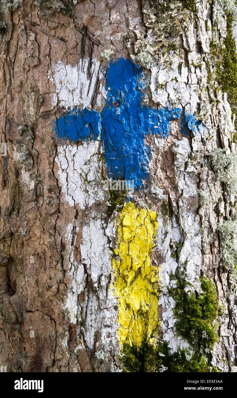 Sentiero di due segni di guida per orientamento turistico dipinte in colori brillanti su un tronco di albero, close-up Foto Stock