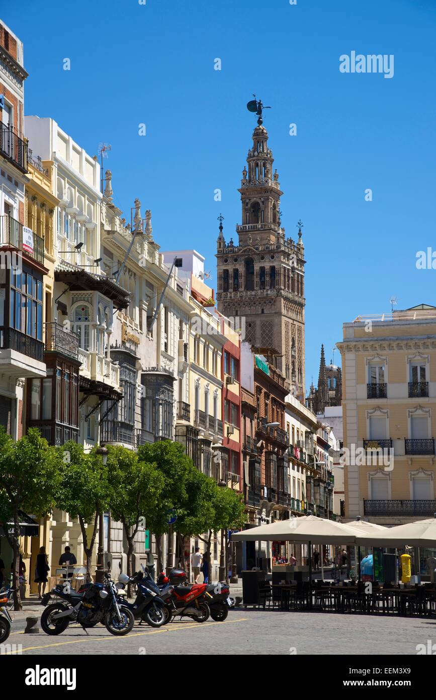 La Giralda torre campanaria, Barrio de Santa Cruz, Siviglia, Andalucía, Spagna Foto Stock
