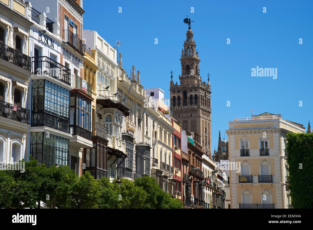 La Giralda torre campanaria, Barrio de Santa Cruz, Siviglia, Andalucía, Spagna Foto Stock