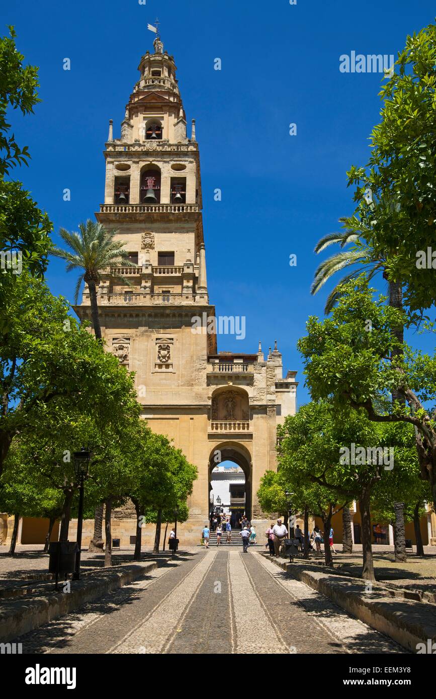 Il cortile e la torre campanaria della Mezquita de Cordoba, Cordoba, Andalucía, Spagna Foto Stock