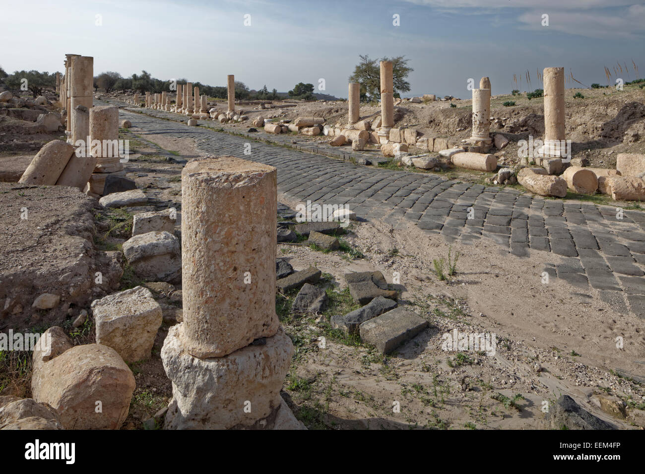 Asse Lastricato stradale, Decomanus, pilastri, antica città di Gadara, Umm Samir, Giordania Foto Stock