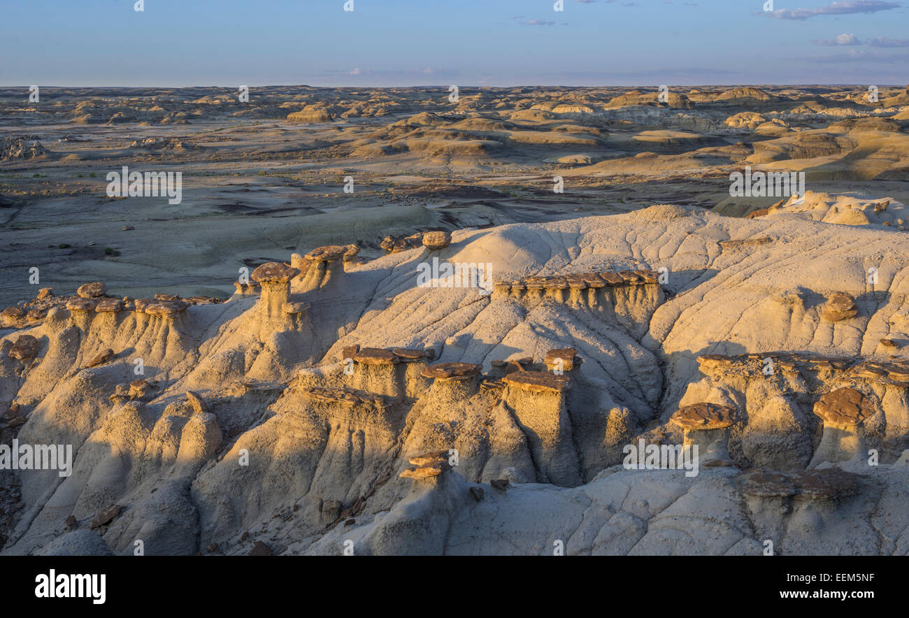 Le formazioni rocciose nel deserto bisti, Farmington, Nuovo Messico, Stati Uniti Foto Stock