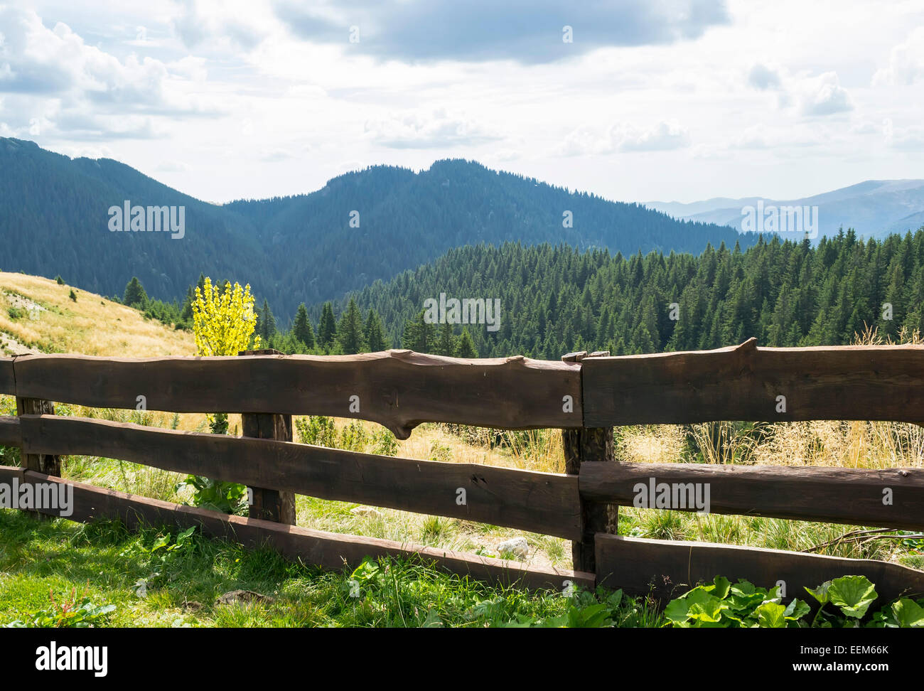Forte di recinzione in legno di un ovile collocato in altitudine in montagna Foto Stock