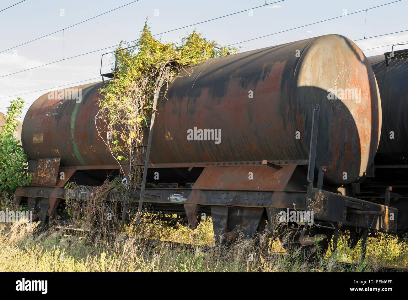Treno merci carro abbandonato su una ferrovia secondaria via invasa dalle alghe e vegetazione Foto Stock