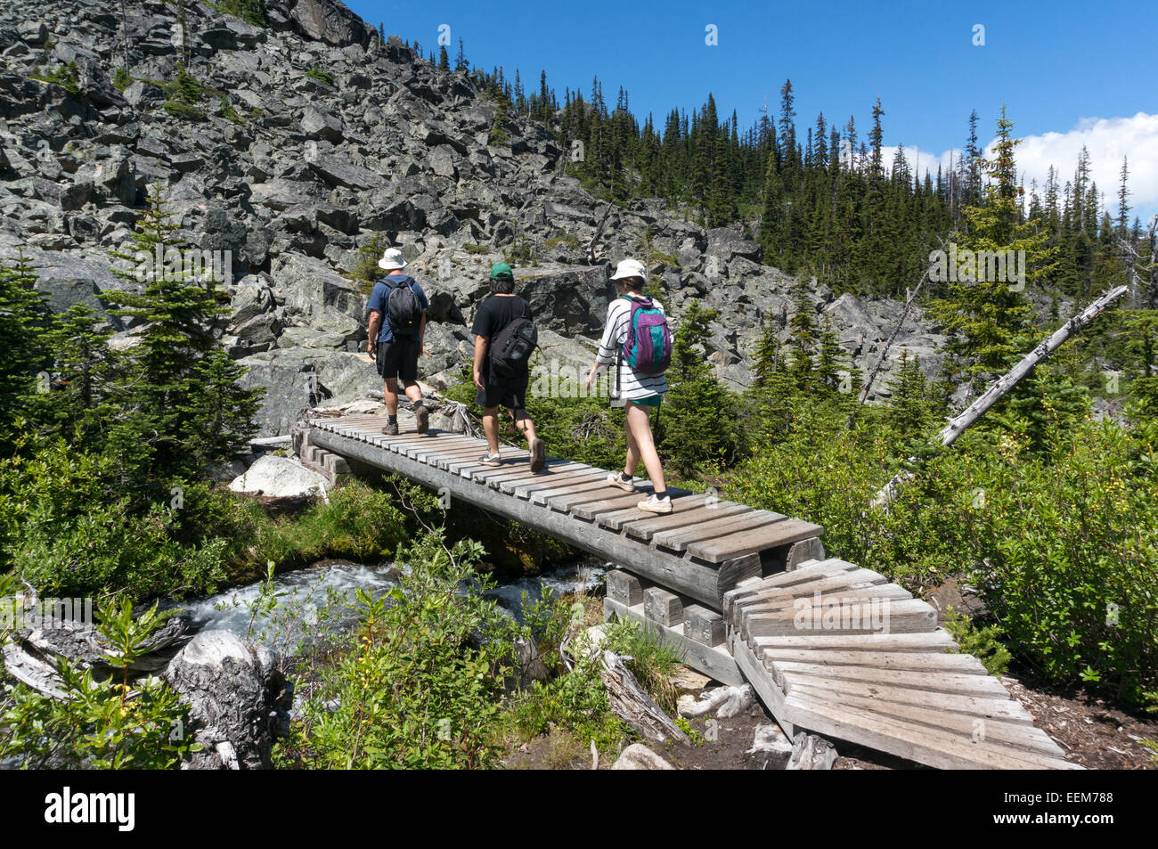 Canada, British Columbia, Joffre Laghi Parco Provinciale, gli escursionisti attraversando ponte pedonale Foto Stock